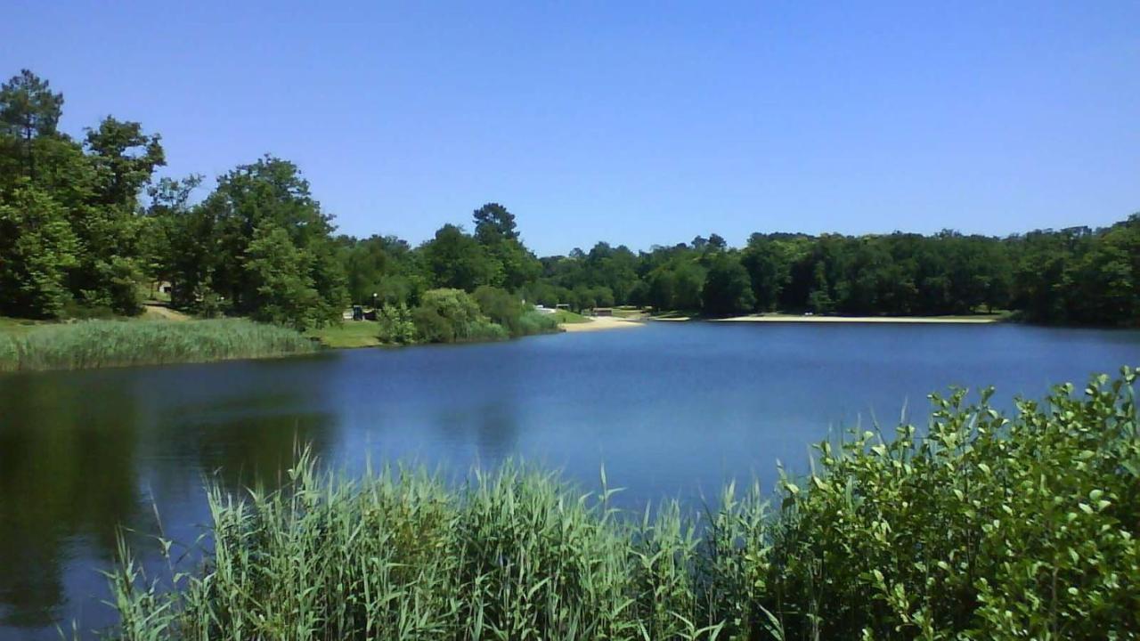 La Colline De Tilleul - Les Deux Puits - Cosy Cottage With Swimming Pool Near Aubeterre Saint-Romain  Exterior photo